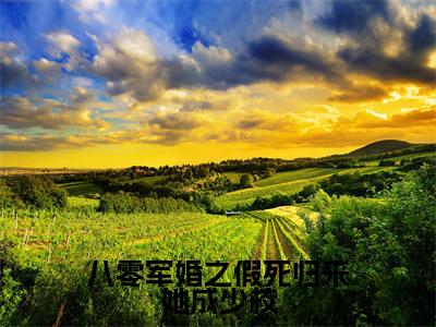 韩小沫傅以臻小说在线阅读八零军婚之假死归来她成少校无广告小说免费在线阅读