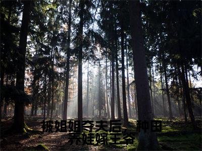 赵二丫(被姐姐夺夫后,种田养娃嫁王爷)全文免费阅读无弹窗大结局_被姐姐夺夫后,种田养娃嫁王爷最新章节列表笔趣阁