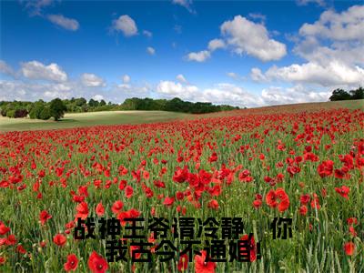 战神王爷请冷静,你我古今不通婚!全文免费阅读无弹窗大结局-陆云鼎乔朵朵无弹窗阅读