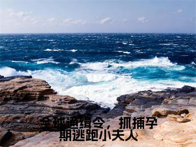 (全球通缉令,抓捕孕期逃跑小夫人)时序颜鹿小说小说全文免费时序颜鹿读最新章节列表笔趣阁(全球通缉令,抓捕孕期逃跑小夫人)