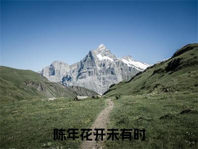 谢司辰乔晚云（陈年花开未有时）全文免费阅读无弹窗大结局_谢司辰乔晚云最新章节列表_笔趣阁（陈年花开未有时）