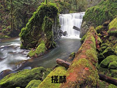 搓酥(周肈南许尽欢)免费小说-周肈南许尽欢全文阅读目录
