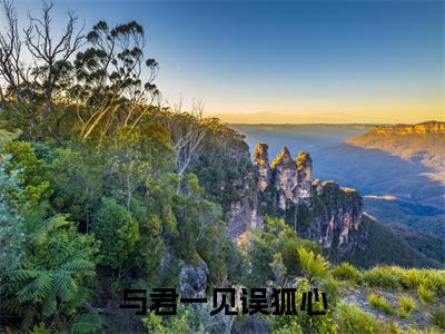 景离重白曦瑶(与君一见误狐心)全文免费阅读无弹窗大结局_(景离重白曦瑶小说全文免费阅读)最新章节列表