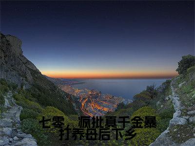 七零，疯批真千金暴打养母后下乡全文最新章节（苏安陆振廷）全文免费阅读无弹窗大结局_苏安陆振廷免费阅读