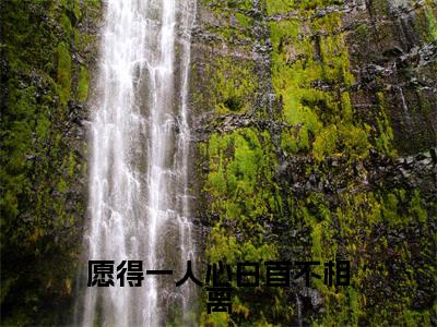 杜鹃顾祁(杜鹃顾祁)小说全文免费阅读正版无弹窗_愿得一人心白首不相离小说免费阅读全文无弹窗_笔趣阁