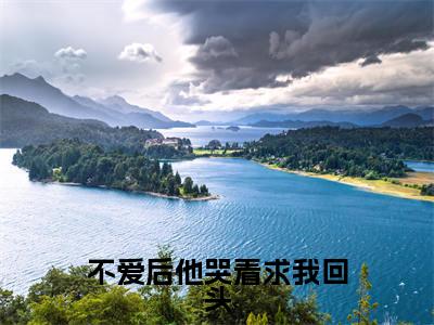 【完整版】(不爱后他哭着求我回头小说夏知安傅经年)精彩小说全本资源免费阅读结局无删节_夏知安傅经年全章节阅读