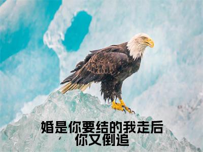 陆河温蔓（婚是你要结的我走后你又倒追）全文免费阅读无弹窗大结局_婚是你要结的我走后你又倒追最新章节列表_笔趣阁