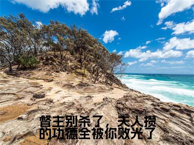 玉卿卿(督主别杀了,夫人攒的功德全被你败光了)全文免费阅读无弹窗-督主别杀了,夫人攒的功德全被你败光了完整版全文在线赏析