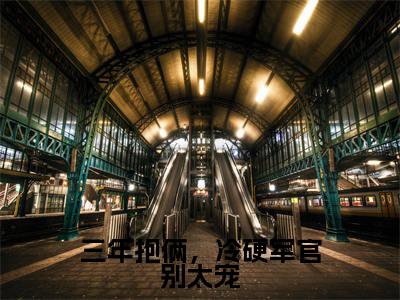 周傅川林阮全文免费大结局三年抱俩，冷硬军官别太宠小说在线阅读