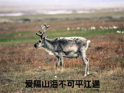 《爱隔山海不可平江遇》主角是于微江遇全文免费阅读已完结