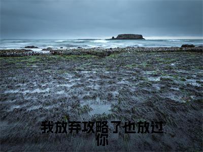 我放弃攻略了也放过你全文免费阅读_（林昕悦谢黯杰免费阅读无弹窗）我放弃攻略了也放过你高赞小说阅读