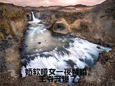 娇软哑女一夜替婚，王爷宠爆了小说无弹窗（绿袖顾砚）全文免费阅读无弹窗大结局_绿袖顾砚最新章节列表_笔趣阁