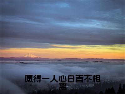 愿得一人心白首不相离(杜鹃顾祁)全文免费阅读无弹窗大结局_杜鹃顾祁(愿得一人心白首不相离最新章节在线阅读)_笔趣阁