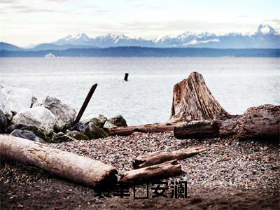 裴聿璟安澜（安澜裴聿璟）小说小说全集安澜裴聿璟无删减在线阅读