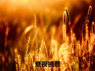 简宓精彩小说-昼夜撩惹全章节免费阅读