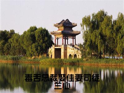 司徒兰心（毒舌总裁娶佳妻司徒兰心）全集免费阅读无弹窗_（毒舌总裁娶佳妻司徒兰心小说免费阅读）_笔趣阁