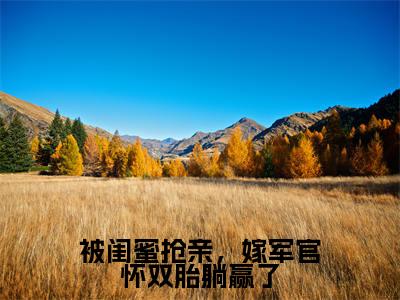 陆观山虞梨被闺蜜抢亲,嫁军官怀双胎躺赢了在线小说-被闺蜜抢亲,嫁军官怀双胎躺赢了全文无删减版阅读