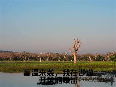 高温来袭,我在沙漠开鱼塘暴富全文免费阅读大结局林岑月陆观宇最新章节列表