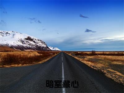 林伺月傅寒(暗室藏心)全文免费阅读无弹窗_暗室藏心最新小说_笔趣阁