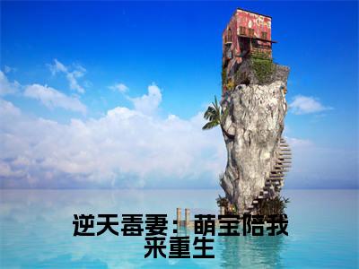 逆天毒妻：萌宝陪我来重生是什么小说-萧云汐全文免费阅读无弹窗大结局（逆天毒妻：萌宝陪我来重生）最新章节阅读