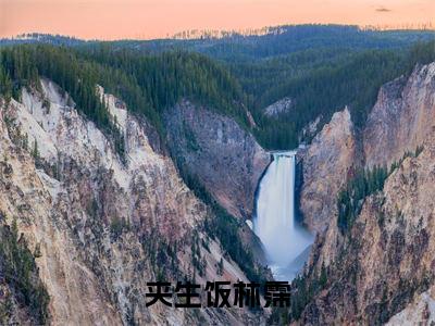 夹生饭林霈（林霈）热门免费小说-林霈（夹生饭林霈）精彩小说全文赏析