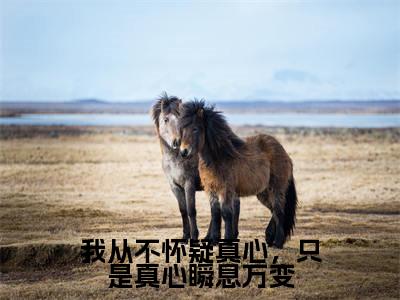 我从不怀疑真心，只是真心瞬息万变（陈嘉怡陆曜钧）小说精彩免费内容_我从不怀疑真心，只是真心瞬息万变（陈嘉怡陆曜钧）最新章节全文阅读大结局