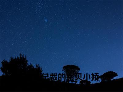 江念依周砚霆最新完结免费阅读-甜宠总裁的宝贝小娇妻又哭了悬疑小说在线阅读