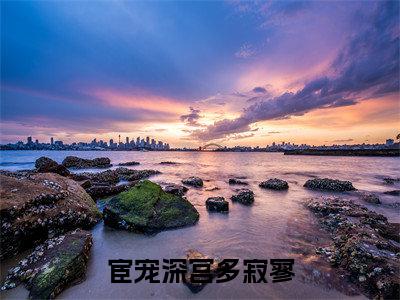 裴堰宋昭昭全文免费阅读_(宦宠深宫多寂寥免费阅读无弹窗)裴堰宋昭昭最新章节列表笔趣阁