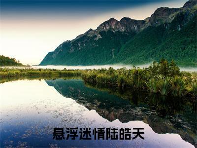 悬浮迷情陆皓天艾汶陆皓天完整版全文在线赏析-艾汶陆皓天全文在线阅读