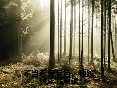 不当恋爱脑后,他跪舔求我原谅(沈婉清)全文免费阅读无弹窗_不当恋爱脑后,他跪舔求我原谅完整版最新阅读_笔趣阁(沈婉清)