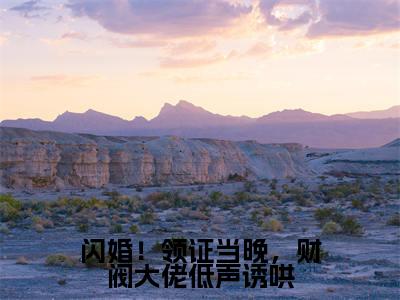 江晚陆辞年全文免费阅读无弹窗-（江晚陆辞年）闪婚！领证当晚，财阀大佬低声诱哄小说全文在线阅读笔趣阁