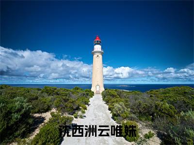 沈西洲云唯姝小说全文（云唯姝沈西洲）全文免费阅读无弹窗大结局_沈西洲云唯姝全文免费阅读无弹窗最新章节列表