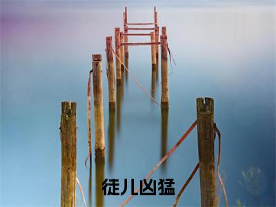 【新书】《沈问天》徒儿凶猛全文全章节免费阅读