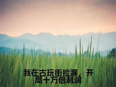 我在古玩街捡漏，开局十万倍利润小说好看吗我在古玩街捡漏，开局十万倍利润热门推荐小说（陈瀚）全章节阅读_笔趣阁