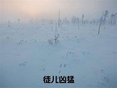 沈问天在线阅读(徒儿凶猛)全文免费阅读_徒儿凶猛最新章节列表_笔趣阁
