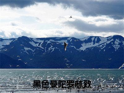 黑色曼陀罗林致(苏凝安林致)全文免费阅读无弹窗大结局_黑色曼陀罗林致免费阅读无弹窗最新章节列表_笔趣阁