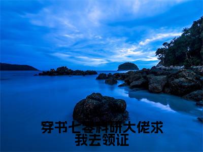 穿书七零科研大佬求我去领证小说（肖子毅林依然）全文免费阅读_穿书七零科研大佬求我去领证小说（肖子毅林依然）最新章节列表笔趣阁小说