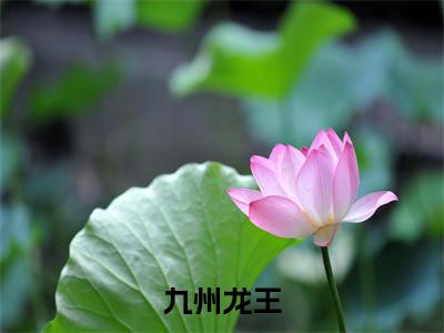 夏凡（九州龙王）小说全文-九州龙王小说免费阅读大结局