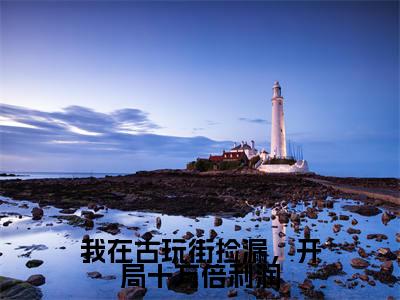 陈瀚小说在线阅读全文无弹窗大结局_我在古玩街捡漏,开局十万倍利润小说免费最新章节列表(全文)+(后续)