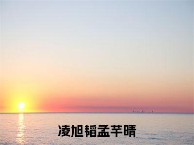 凌旭韬孟芊晴小说(孟芊晴凌旭韬)全文免费凌旭韬孟芊晴阅读无弹窗大结局-(孟芊晴凌旭韬)笔趣阁