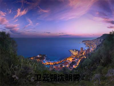 沈明霁卫云朔小说在线阅读卫云朔沈明霁无广告小说免费在线阅读(免费)+(结局)