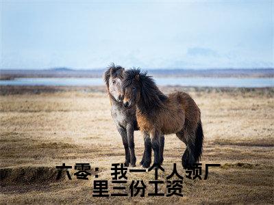 顾盼瑶(六零:我一个人领厂里三份工资)全文免费阅读无弹窗大结局_顾盼瑶完整章节阅读