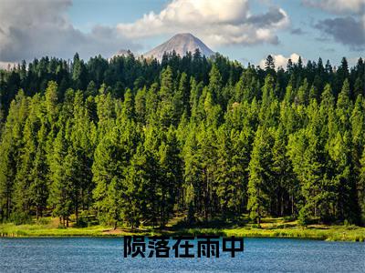 陨落在雨中全文免费阅读_（姜时雨顾枫小说）陨落在雨中言情小说在线阅读笔趣阁（姜时雨顾枫）