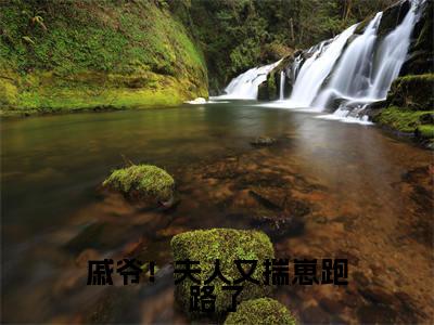 戚爷!夫人又揣崽跑路了在线阅读(戚锦荣秦颜歌)全文免费阅读无弹窗大结局_戚锦荣秦颜歌最新章节列表笔趣阁(戚爷!夫人又揣崽跑路了)