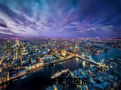 不见长安见星辰全本资源（陆明逸慕婉）全文免费阅读无弹窗大结局_陆明逸慕婉最新章节列表（不见长安见星辰）