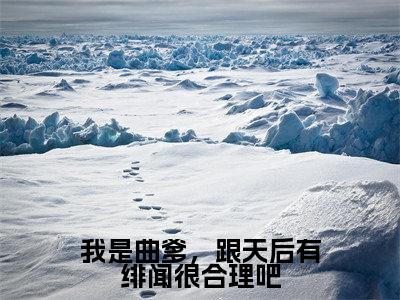 我是曲爹,跟天后有绯闻很合理吧(苏辰)全文免费阅读无弹窗_我是曲爹,跟天后有绯闻很合理吧小说免费阅读_笔趣阁