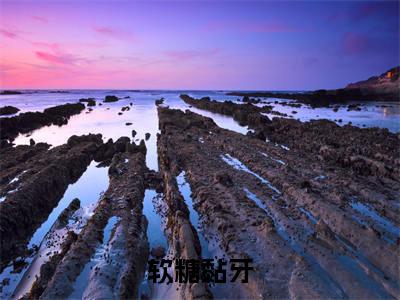 软糖黏牙（蒋鹿林晏）全文在线阅读无弹窗大结局_（软糖黏牙在线阅读）最新章节列表_笔趣阁