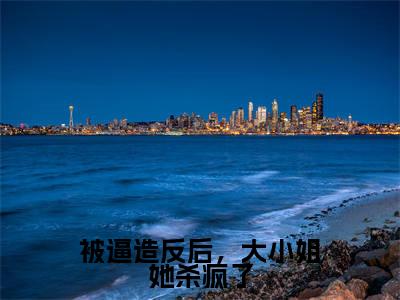 被逼造反后,大小姐她杀疯了是什么小说,被逼造反后,大小姐她杀疯了(沈朝容)完整章节在线阅读