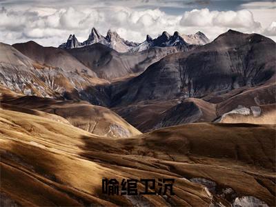 小说(喻绾卫沉)卫沉喻绾精选片段阅读-小说卫沉喻绾免费版最新更新阅读