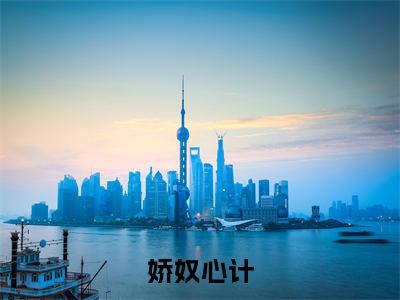 娇奴心计陆执正版小说全文阅读陆执全文免费完整版